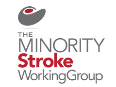 Minority Stroke Working Group